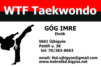 Taekwondo